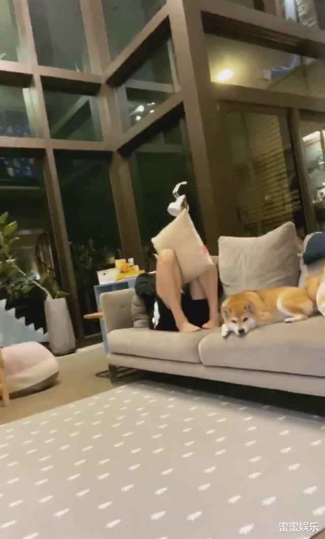 Ella家是复式楼还种牛油果树，马桶是黑色，称二胎想要生女儿