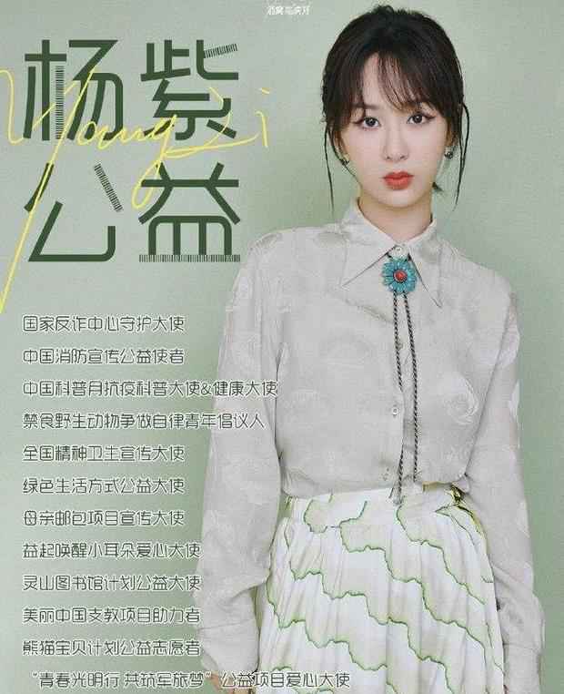 杨紫谈未成年人打赏主播现象