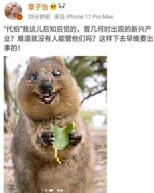 章子怡发文斥代拍 获得了很多网友的支持