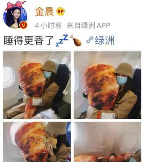粉丝送金晨超大号鸡腿抱枕