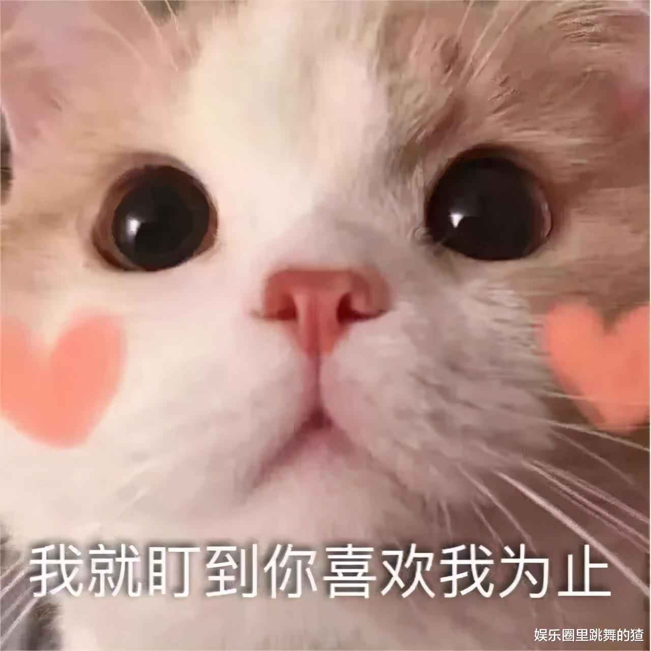 肖战新片预告,一天播放破千万,倒霉女主角能否靠肖战转运