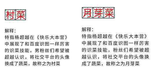 集体变身黄芽菜——新一期快本之后，杨超越粉丝另类应援再出奇招