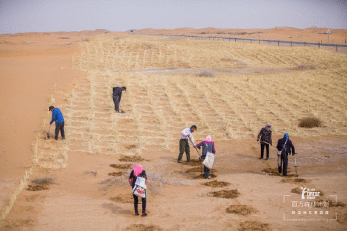 力保健助力沙漠五子，环境和疲劳的你都需要被拯救！