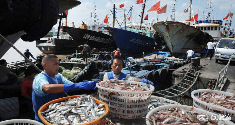 又一个节目组先崩溃得综艺，黄渤被忽悠来做嘉宾，全程反转不断