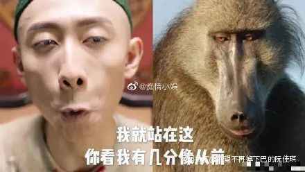 新鹿鼎记遭群嘲，张一山这演的是啥啊…