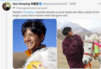 华春莹连发三推为丁真打call