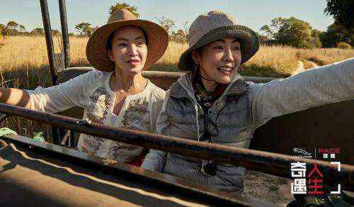 《奇遇人生》海报