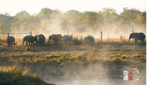 《奇遇人生》海报