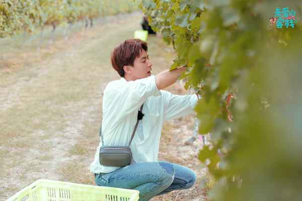 《亲爱的客栈》“团魂”炸裂