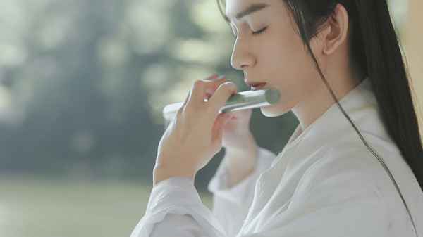 朱赞锦国风大片首发引热议