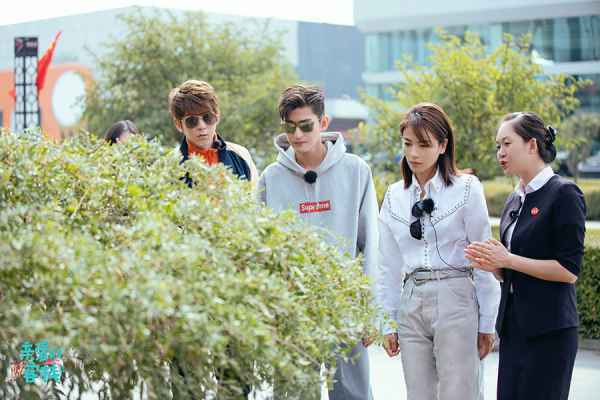  《亲爱的客栈》迎来团建放假日