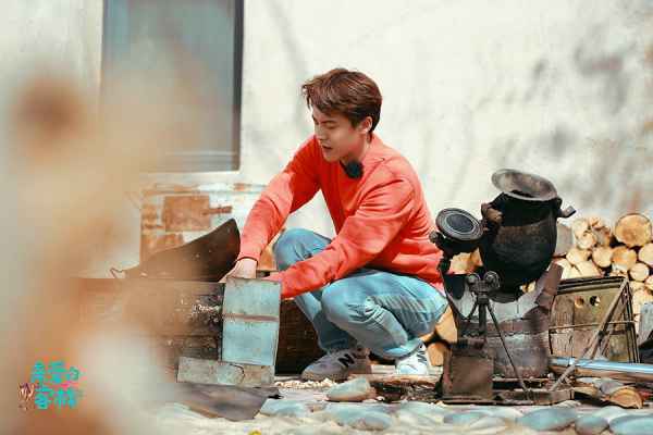  马天宇成功“复活”成客栈合伙人三强