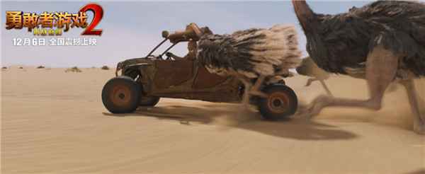 《勇敢者游戏2》三城联动挑战“险境”