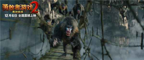  《勇敢者游戏2：再战巅峰》开启预售