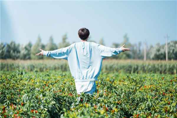  林彦俊《限定的记忆》谈“标签化”