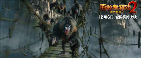 《勇敢者游戏2：再战巅峰》强势提档