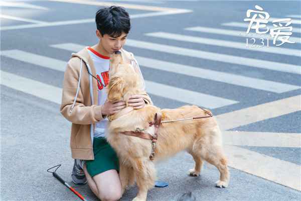  《宠爱》曝“守护”版预告